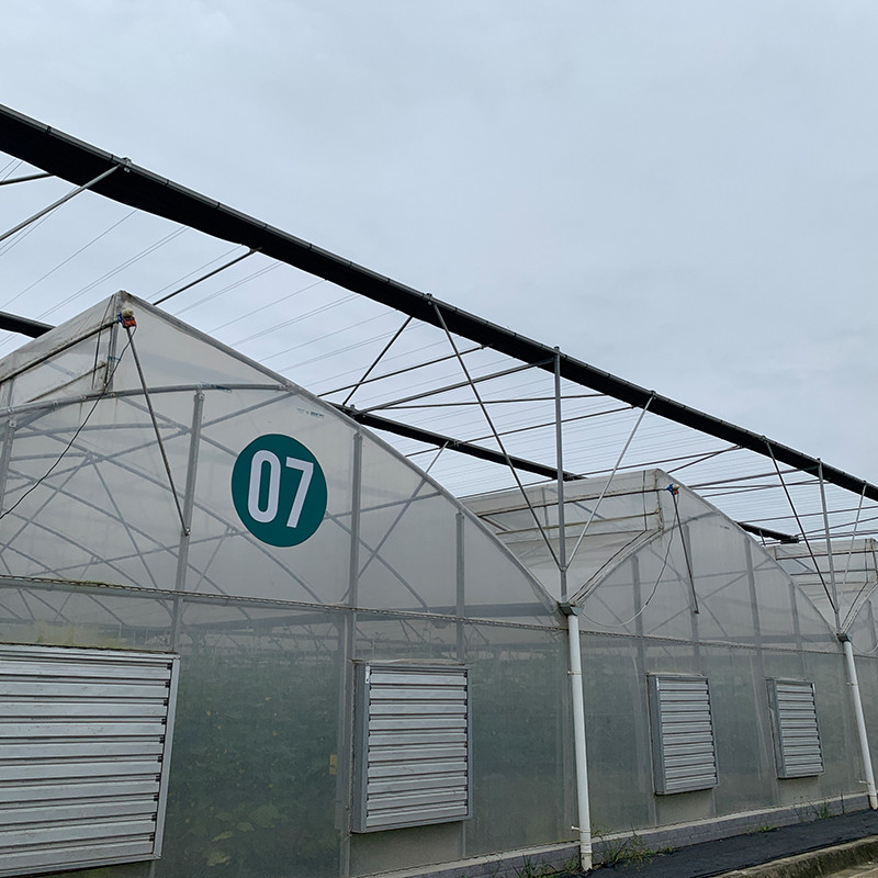โฟมยูวีพลาสติก โพลีทุนเนล โรงงานเกษตร โซว์เทนท์ มัลติสเปน บ้านเรือนกระจก