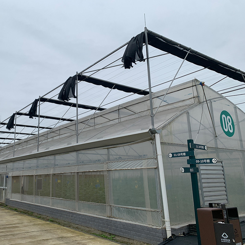 โรงเรือนกระจก Poly Multi-Span ด้วยหลังคาปูนสําหรับการระบายอากาศทางธรรมชาติและการกระจายแสง