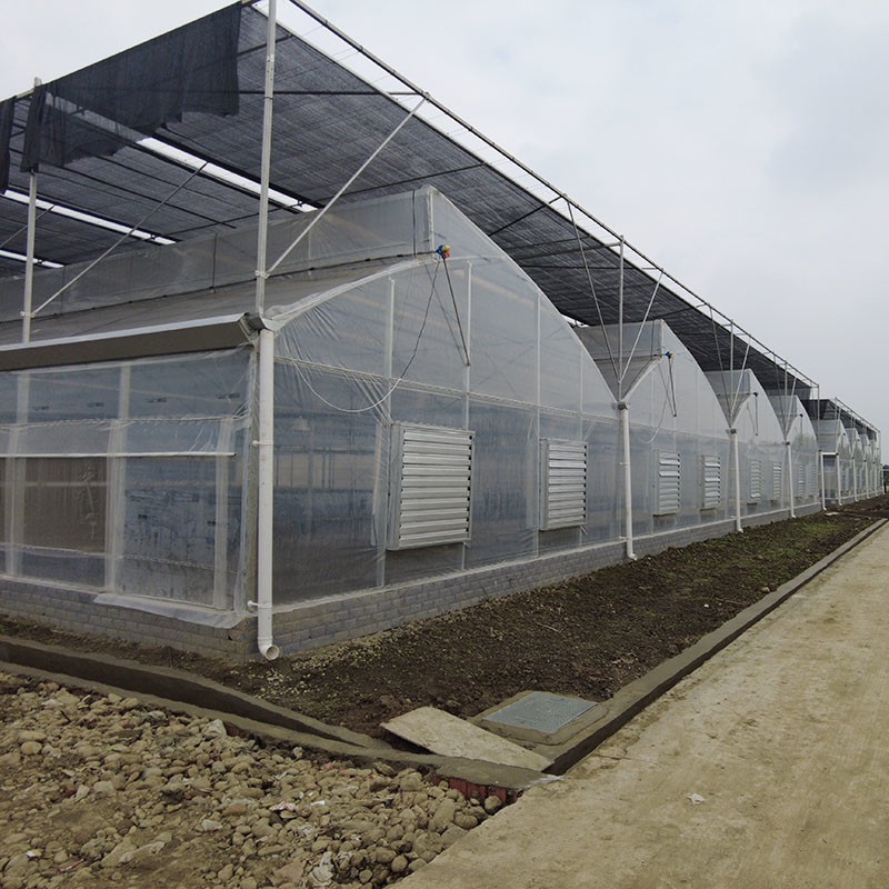 โฟมยูวีพลาสติก โพลีทุนเนล โรงงานเกษตร โซว์เทนท์ มัลติสเปน บ้านเรือนกระจก