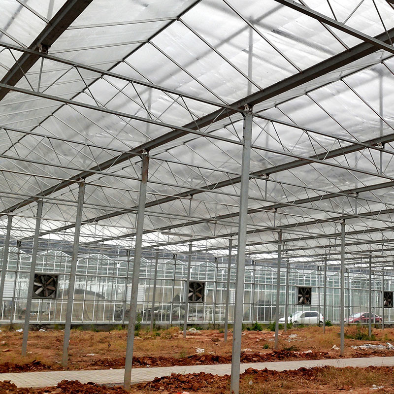 อัตโนมัติอากาศ การเกษตรแก้ว Venlo หลุมลมขนาดใหญ่ โตมาต้าเรือนกระจก