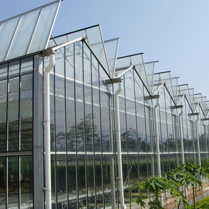 อัตโนมัติอากาศ การเกษตรแก้ว Venlo หลุมลมขนาดใหญ่ โตมาต้าเรือนกระจก
