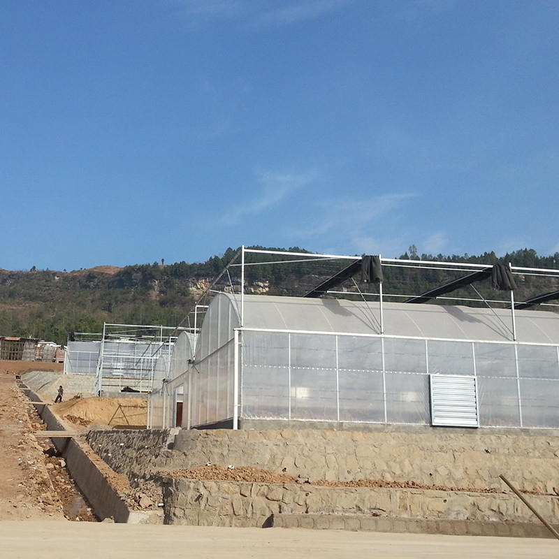 โรงงานเรือนกระจก Poly Tunnel ที่น่าเชื่อถือ โครงงานเหล็กกันสนิม