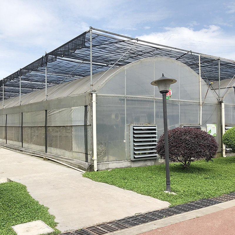 โรงเรือนกระจกการเกษตรขนาดยาวนานแบบกําหนดเอง Poly Tunnel Multi-span Film สําหรับดอกไม้