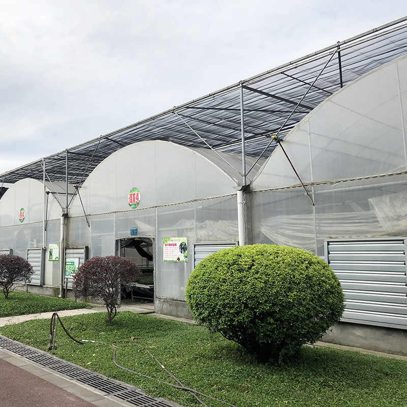 โครงสร้างเหล็ก หลุมหลุมใหญ่ Custom Multi-span พลาสติก บลูเบอรี่ปลูกเรือนกระจกสําหรับโครงสร้างที่มั่นคง