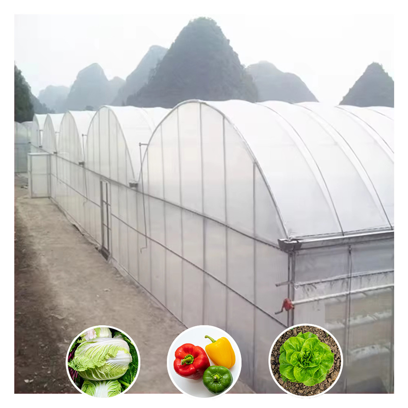 ขายร้อน โปรโมชั่น โพลีทุนเนล โพลีสเปน โฟมทน UV โรงเรือนกระจกสําหรับทอด