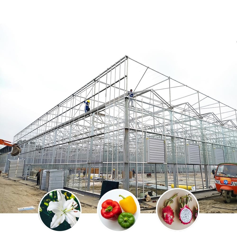 โรงเรือนกระจกการเกษตรแบบ Multi Span Venlo แบบกระจกที่มีรูปทรงหลังคาสามเหลี่ยมและอากาศด้านบนเพื่ออากาศ