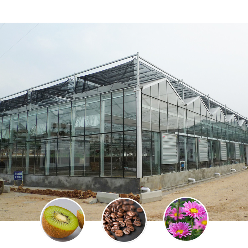 โรงเรือนกระจกการเกษตรแบบ Multi Span Venlo แบบกระจกที่มีรูปทรงหลังคาสามเหลี่ยมและอากาศด้านบนเพื่ออากาศ