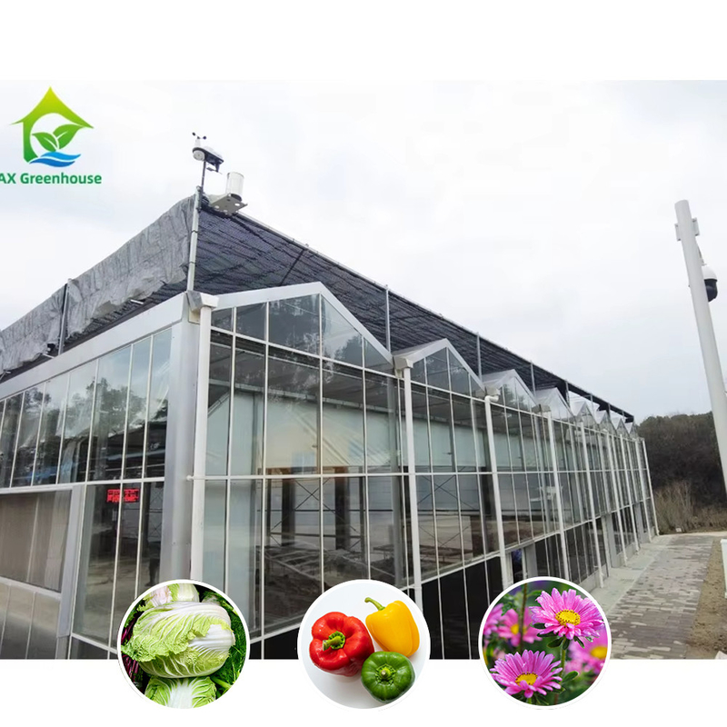 โรงเรือนกระจกการเกษตรแบบ Multi Span Venlo แบบกระจกที่มีรูปทรงหลังคาสามเหลี่ยมและอากาศด้านบนเพื่ออากาศ