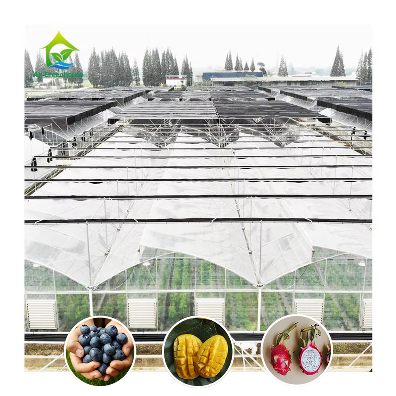 โครงสร้างสแตนเลสกระปุกร้อน Multi-Span พลาสติกฟิล์มเรือนเรือนกระจกที่กําหนดเองที่มีการระบายอากาศบนอุณหภูมิ