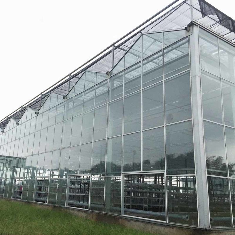 โรงเรือนกระจกการเกษตรแบบ Multi Span Venlo แบบกระจกที่มีรูปทรงหลังคาสามเหลี่ยมและอากาศด้านบนเพื่ออากาศ