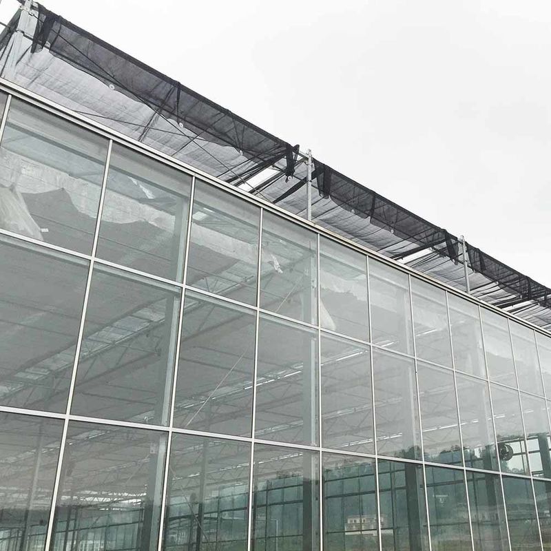 โรงเรือนกระจกการเกษตรแบบ Multi Span Venlo แบบกระจกที่มีรูปทรงหลังคาสามเหลี่ยมและอากาศด้านบนเพื่ออากาศ