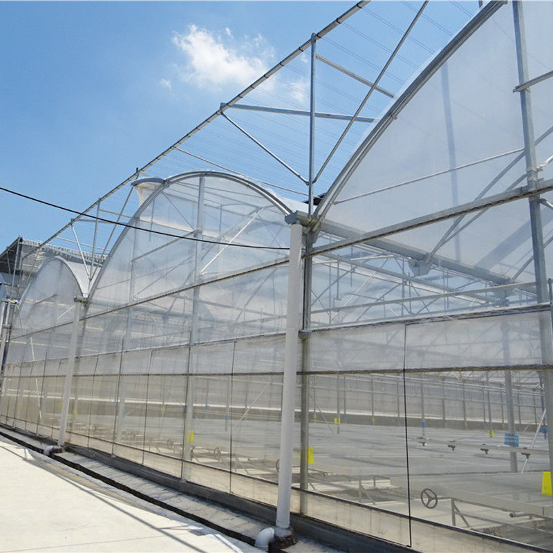 โรงเรือนกระจกการเกษตรขนาดยาวนานแบบกําหนดเอง Poly Tunnel Multi-span Film สําหรับดอกไม้