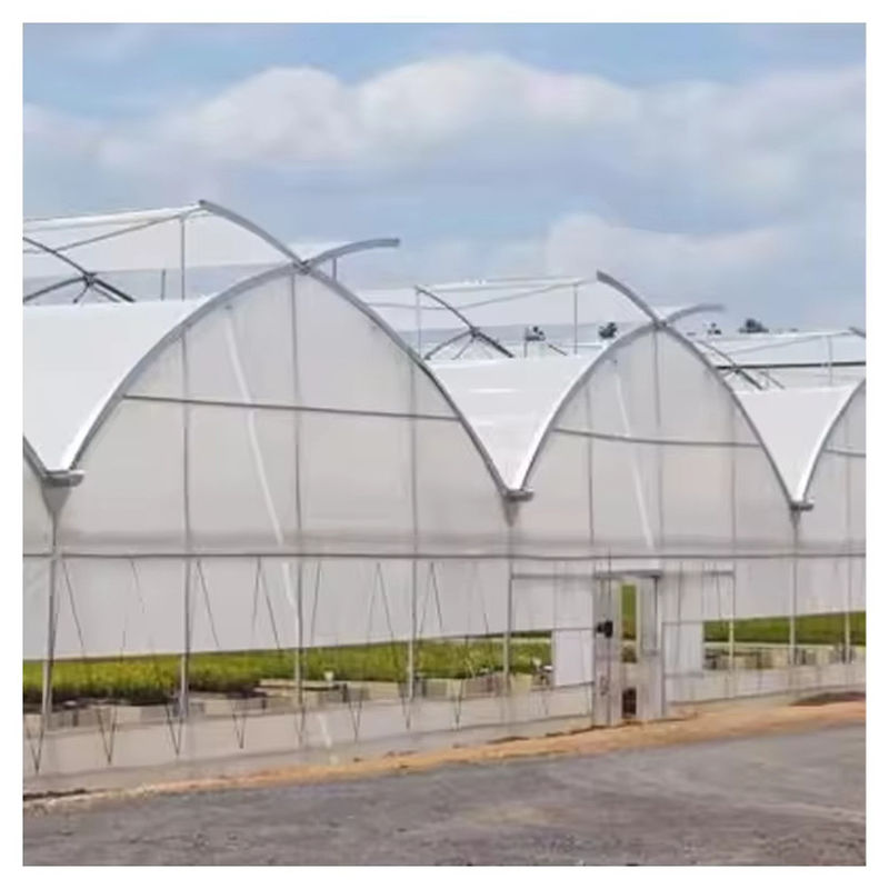 โรงเรือนกระจกการเกษตรขนาดยาวนานแบบกําหนดเอง Poly Tunnel Multi-span Film สําหรับดอกไม้