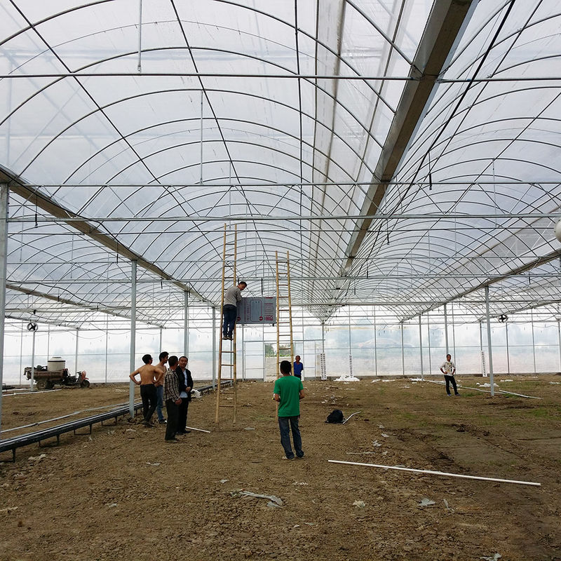 โรงงานเรือนกระจก Poly Tunnel ที่น่าเชื่อถือ โครงงานเหล็กกันสนิม