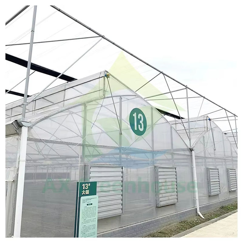 โรงเรือนกระจก Poly Multi-Span ด้วยหลังคาปูนสําหรับการระบายอากาศทางธรรมชาติและการกระจายแสง