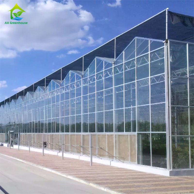 อุปกรณ์ปลูกสตรอว์เบอร์รีผักในโรงเรือนกระจกโพลีคาร์บอเนตที่ทนทาน - ชุดโรงเรือนแบบครบวงจร