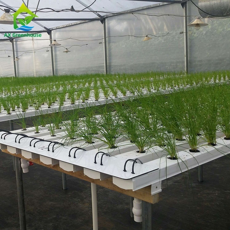 China Factory Super Farm Hydroponic NFT Growing System NFT PVC Channel Horizontal NFT Soilless Leafy VegetableCultivation System