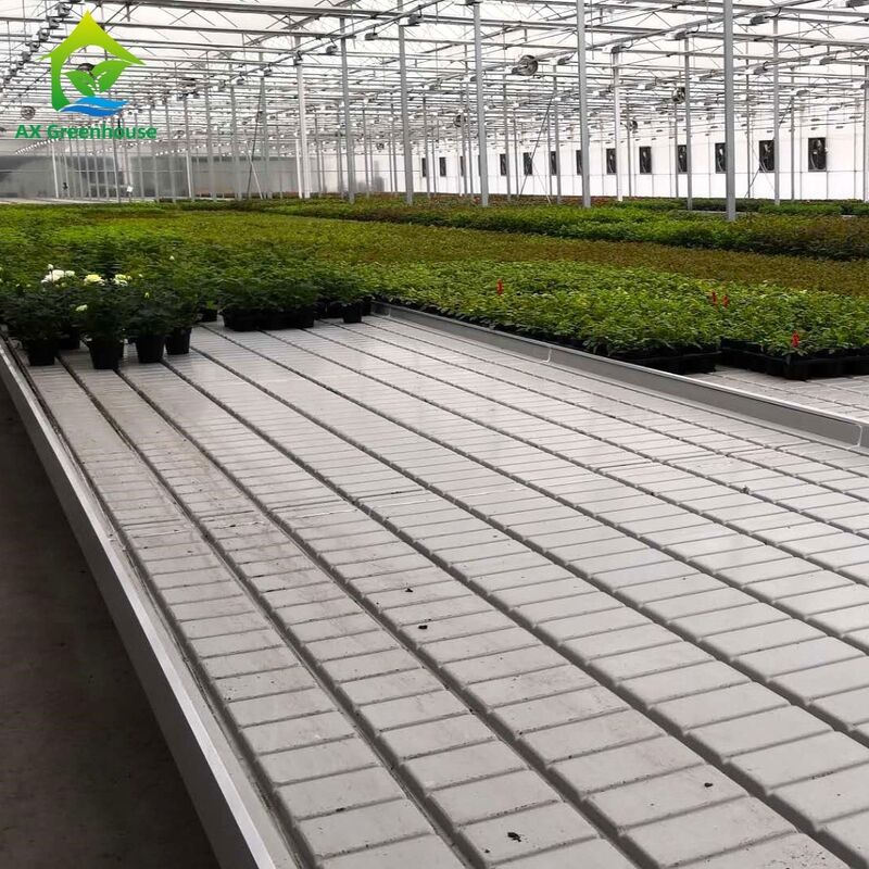 Commercial Aluminum Frame Ebb & Flow Bench with Adjustable Height and Integrated PP/ABS Tray for Greenhouses