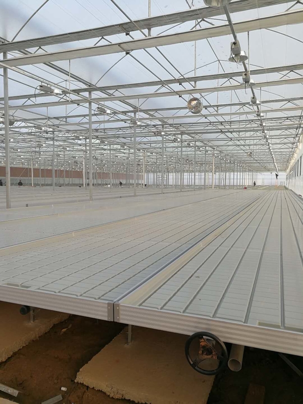 0.71-1.78m ความกว้างเรือนกระจกกลิ้งม้านั่ง Ebb และ Flow Hydroponic Flood Table