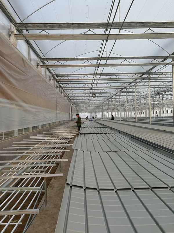 0.71-1.78m ความกว้างเรือนกระจกกลิ้งม้านั่ง Ebb และ Flow Hydroponic Flood Table