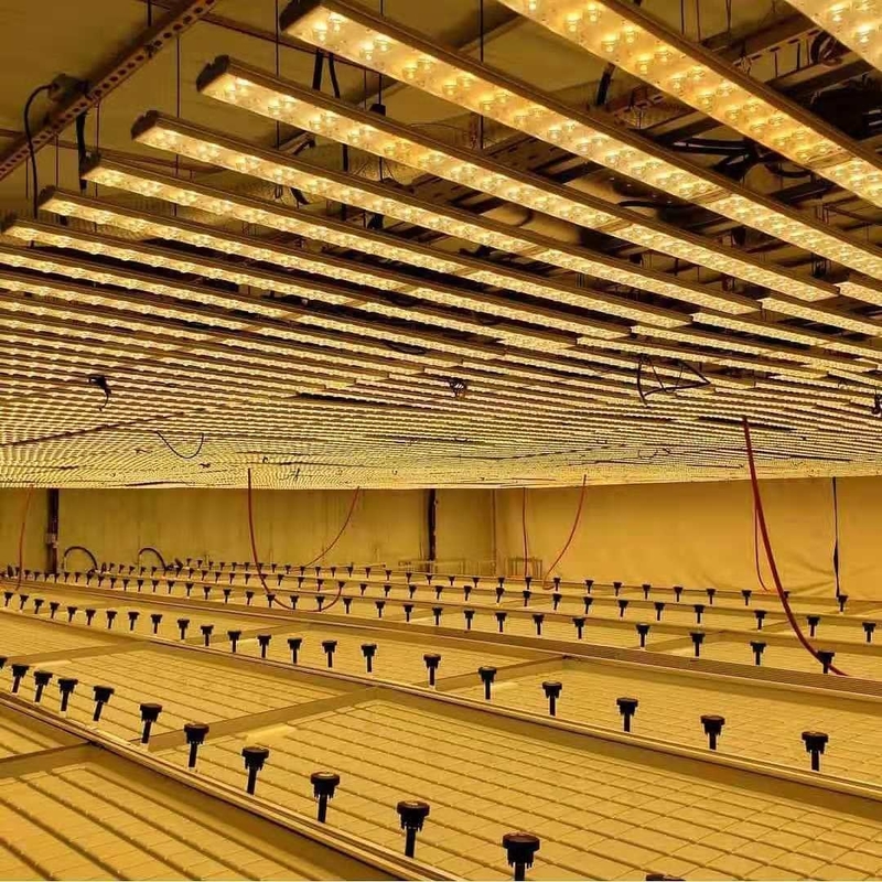 0.71-1.78m ความกว้างเรือนกระจกกลิ้งม้านั่ง Ebb และ Flow Hydroponic Flood Table