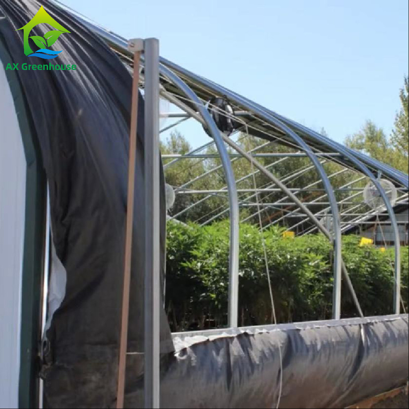 OEM เรือนกระจกกีดกันแสงภายนอกความยาว 32m-50m ระบบปิดทึบเรือนกระจกสำหรับปลูกกัญชา