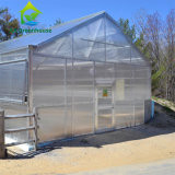เชิงพาณิชย์ Single Span Venlo Type PC แผ่น Greenhouse Impact Resistant