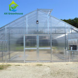 เชิงพาณิชย์ Single Span Venlo Type PC แผ่น Greenhouse Impact Resistant