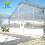 เชิงพาณิชย์ Single Span Venlo Type PC แผ่น Greenhouse Impact Resistant