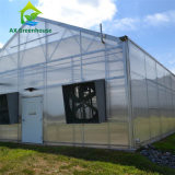 เชิงพาณิชย์ Single Span Venlo Type PC แผ่น Greenhouse Impact Resistant