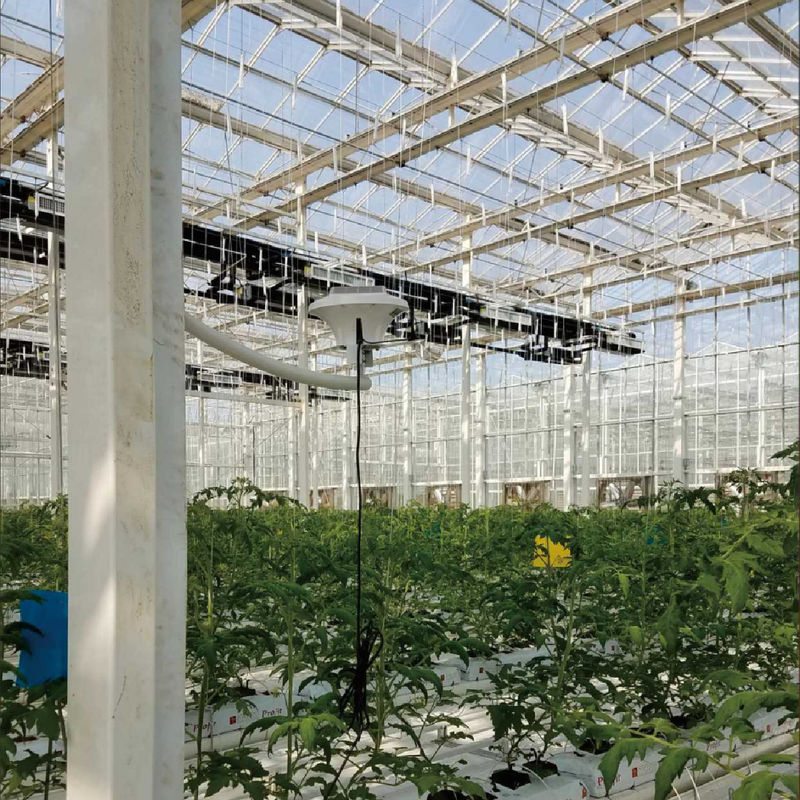 ระบบติดตามโรงเรือนกระจกที่ฉลาด ด้วยพลังงาน AC220V และเครื่องวัดปริมาณ CO2 0 ~ 50000 PPM เพื่อควบคุมสภาพอากาศที่ดีที่สุด