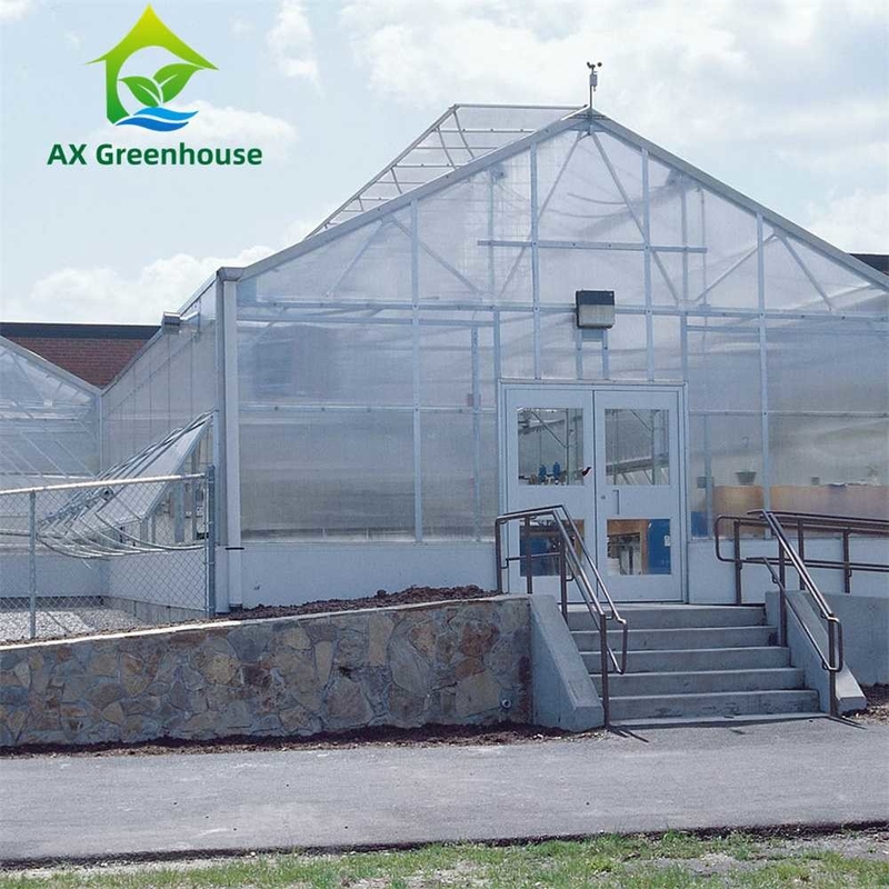 พืชปลูก โปลิคาร์บอเนต PC Single Span Sheet Greenhouse ด้วยโครงสร้างที่มั่นคงและการประกอบง่าย