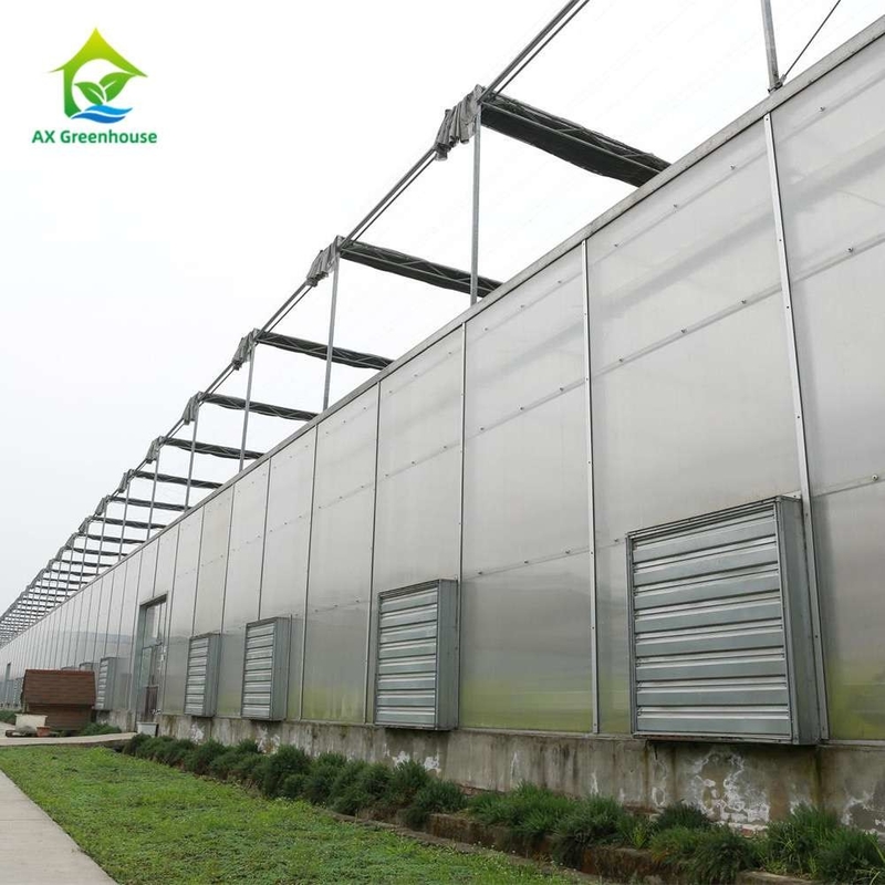 พืชปลูก โปลิคาร์บอเนต PC Single Span Sheet Greenhouse ด้วยโครงสร้างที่มั่นคงและการประกอบง่าย