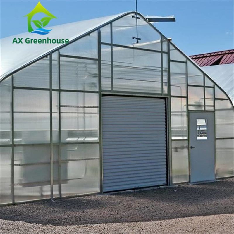 Single Span Double Layer 8mm PC Sheet Greenhouse Venlo 0.5KN / M2 แรงลม
