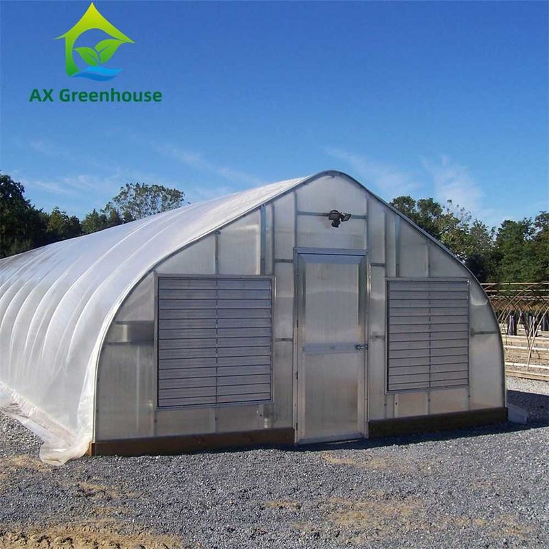 Single Span Double Layer 8mm PC Sheet Greenhouse Venlo 0.5KN / M2 แรงลม