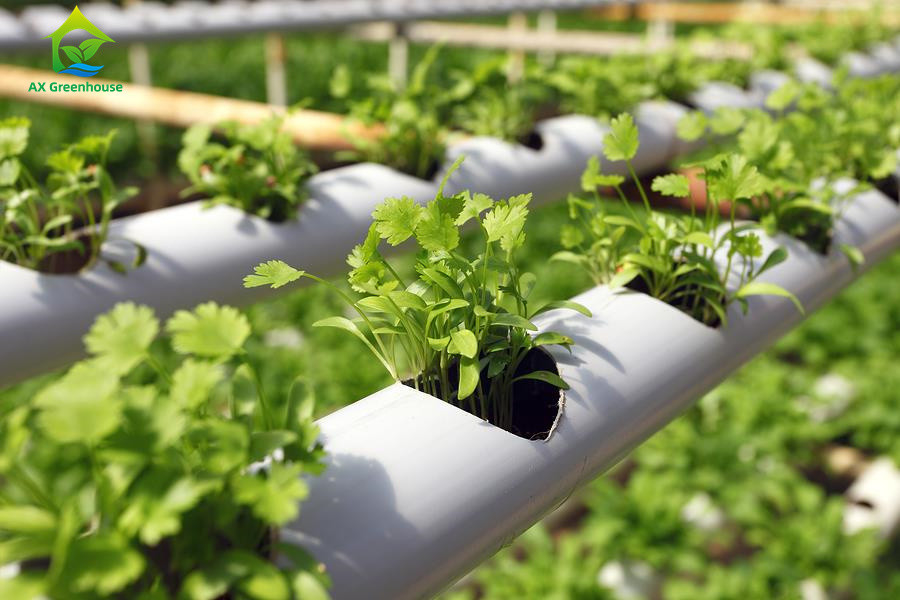 การเกษตรภายในที่ไร้ดิน การปลูกสตรอเบอรี่ PVC Tube สําหรับ Hydroponics ระบบ NFT สําหรับขาย