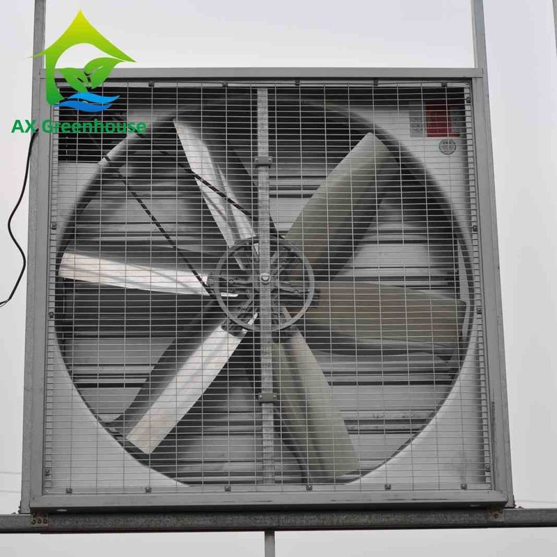 Dia 500-1250mm Blade Wet Wall Exhaust พัดลมอุตสาหกรรม Wall Mount Extractor Fans