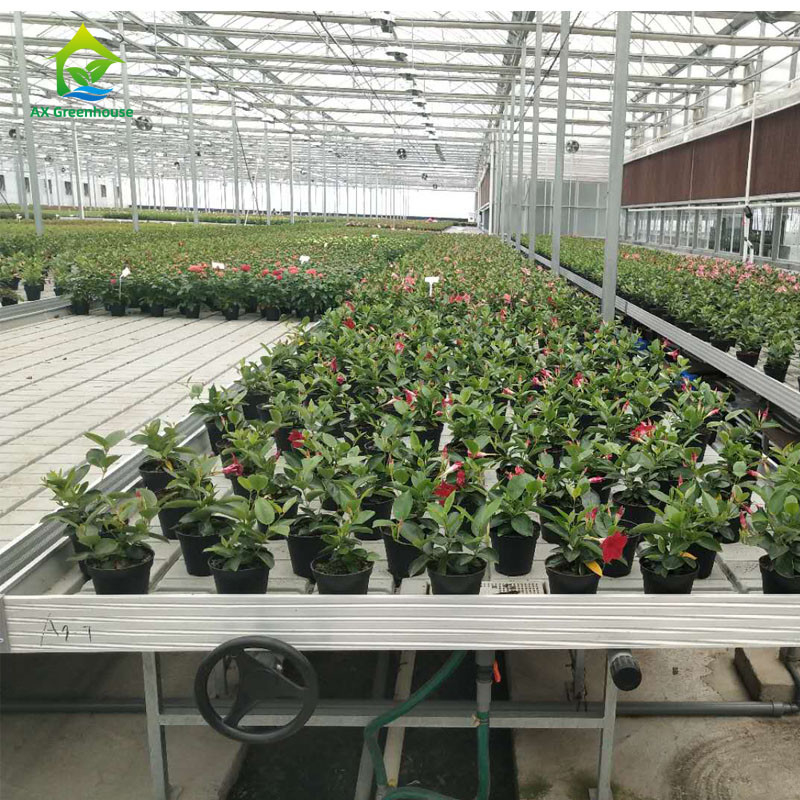 การปลูกสวนขนาดที่กําหนดเอง โต๊ะปลูกโรงเรือนกระจก Hydroponic Ebb Flood Rolling Bench