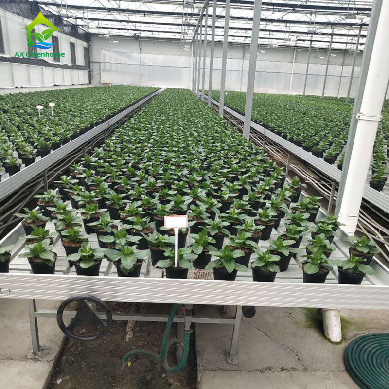 ม้านั่งเลื่อนสำหรับเรือนกระจกที่เป็นมิตรต่อสิ่งแวดล้อมและมั่นคง พร้อมแผ่นพลาสติก ABS และโครงอะลูมิเนียมอัลลอยด์ในขนาดที่ปรับแต่งได้