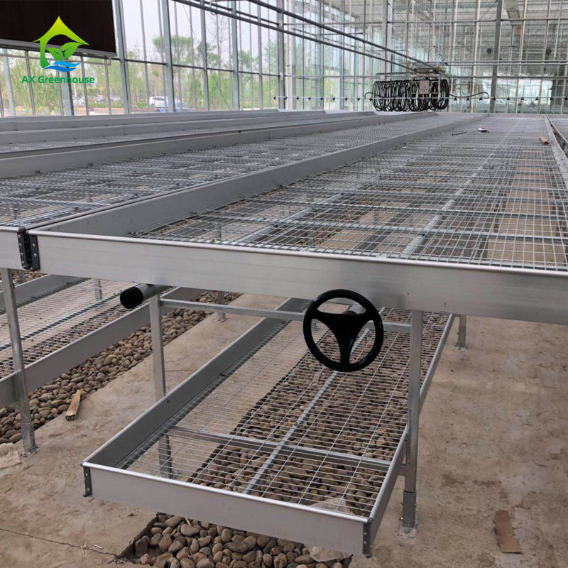 การเกษตร การค้า ในบ้าน Mesh สายเรือนกระจก โต๊ะการเติบโต Rolling Bench สําหรับการปลูก