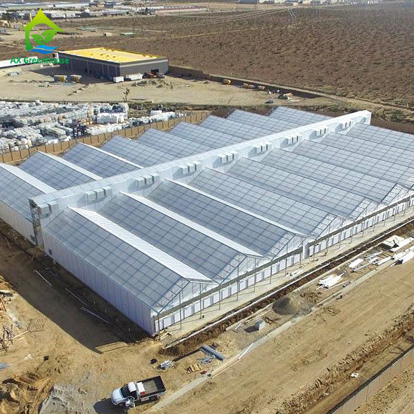 Automated Hemp Light Deprivation เรือนกระจกมหาดไทย Blackout Muti-span Greenhouses