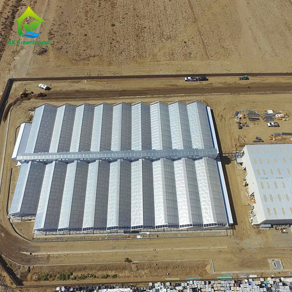 Automated Hemp Light Deprivation เรือนกระจกมหาดไทย Blackout Muti-span Greenhouses